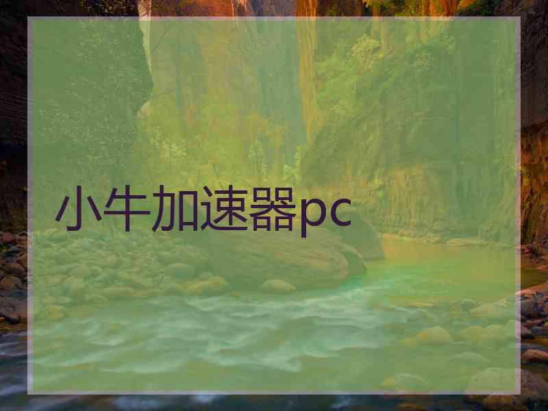 小牛加速器pc