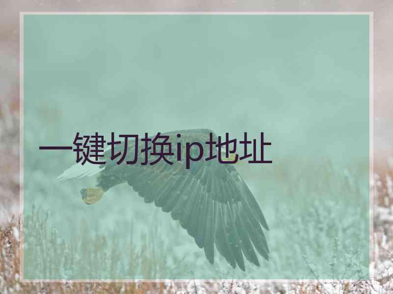 一键切换ip地址