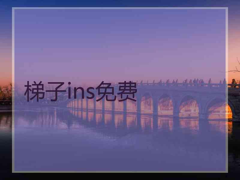 梯子ins免费