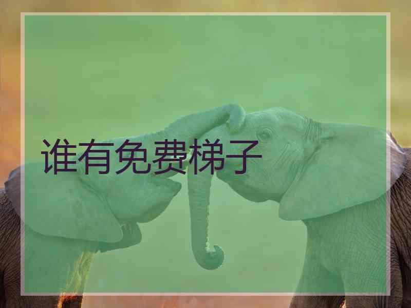 谁有免费梯子