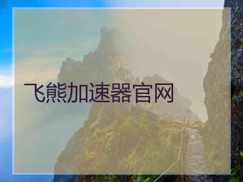 飞熊加速器官网