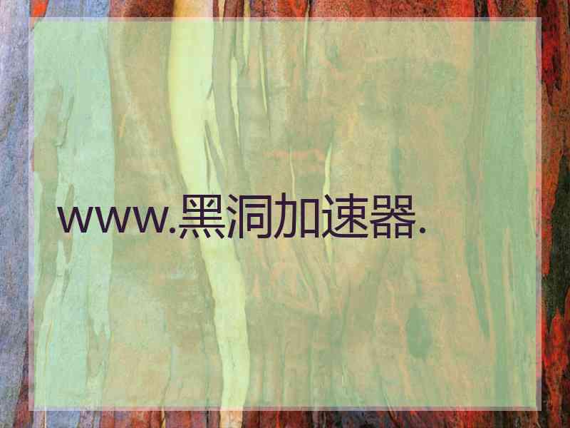 www.黑洞加速器.