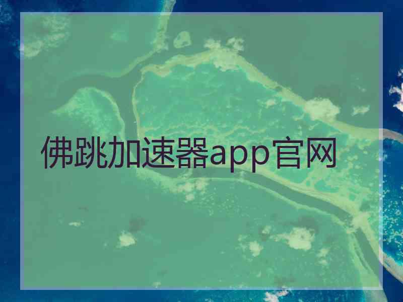佛跳加速器app官网