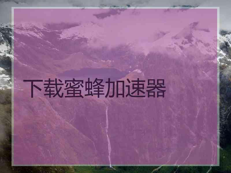 下载蜜蜂加速器