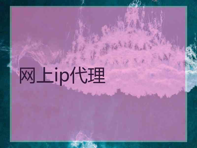 网上ip代理