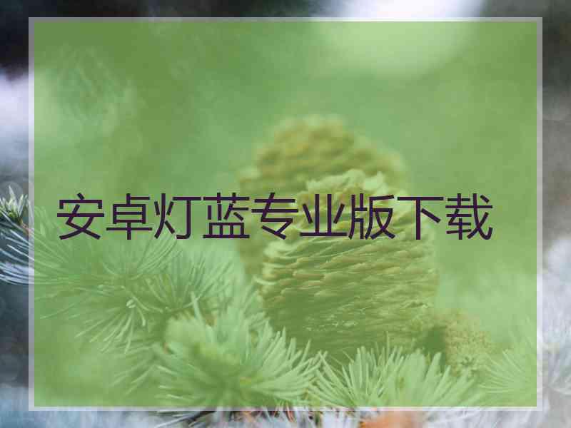 安卓灯蓝专业版下载