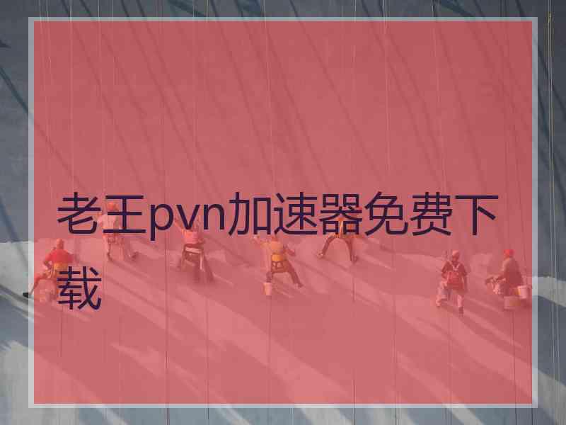 老王pvn加速器免费下载