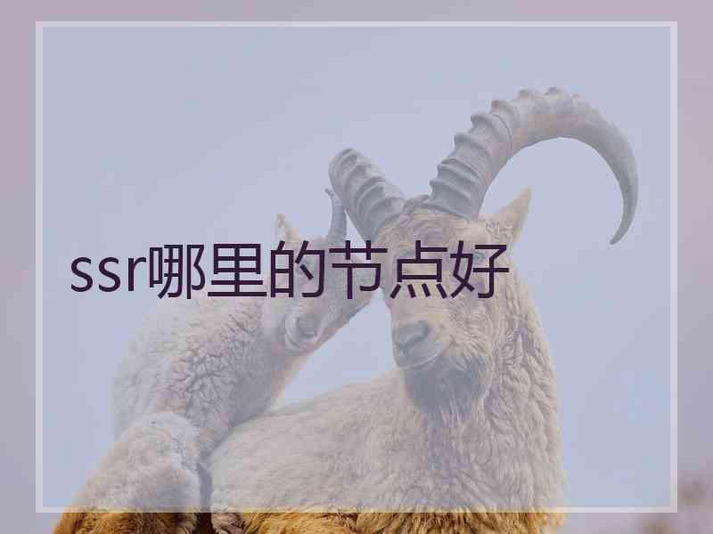 ssr哪里的节点好