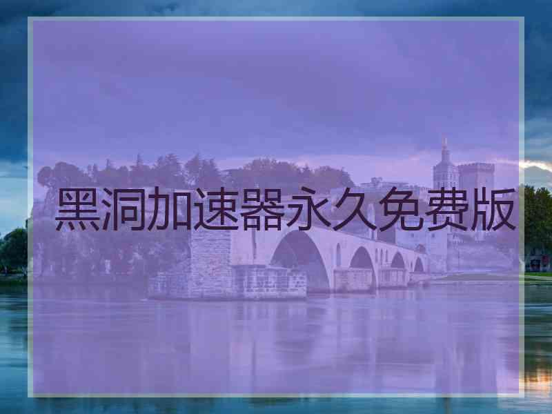黑洞加速器永久免费版