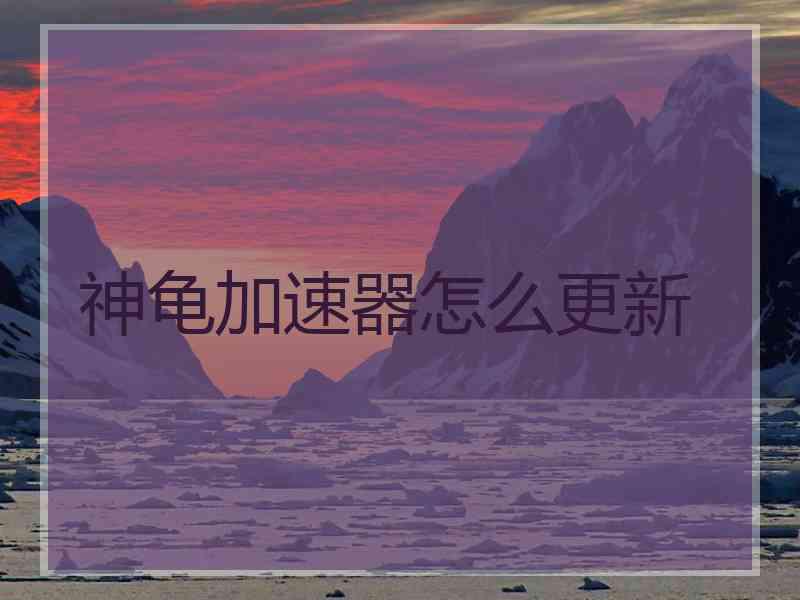 神龟加速器怎么更新