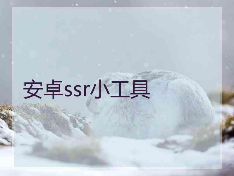 安卓ssr小工具