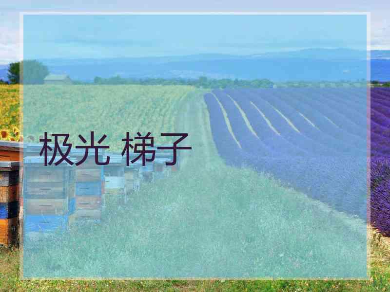 极光 梯子