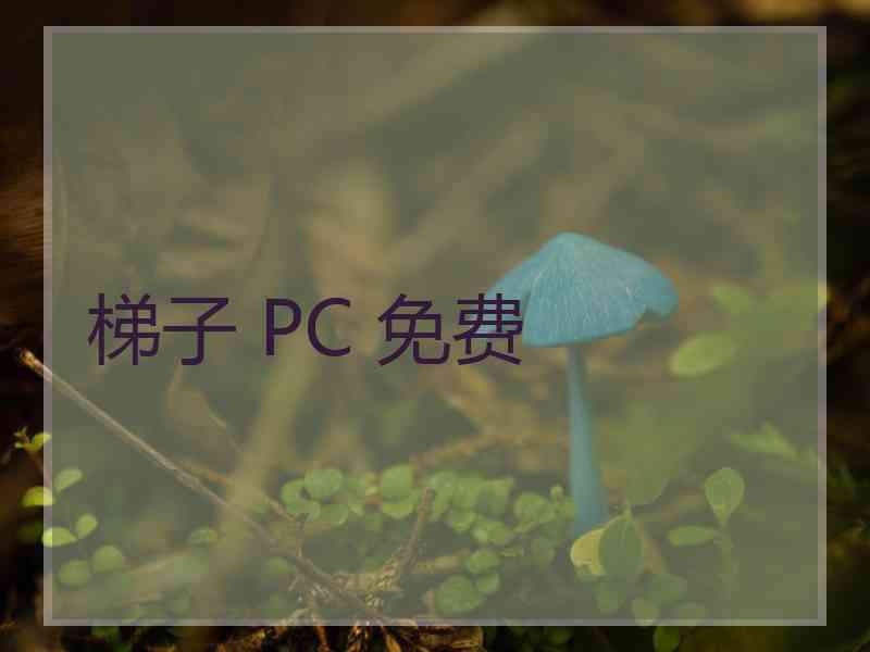 梯子 PC 免费