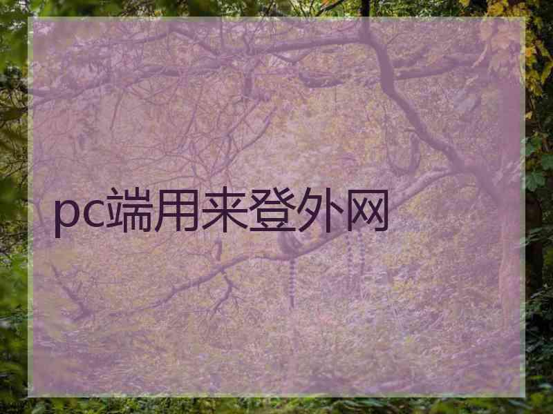 pc端用来登外网