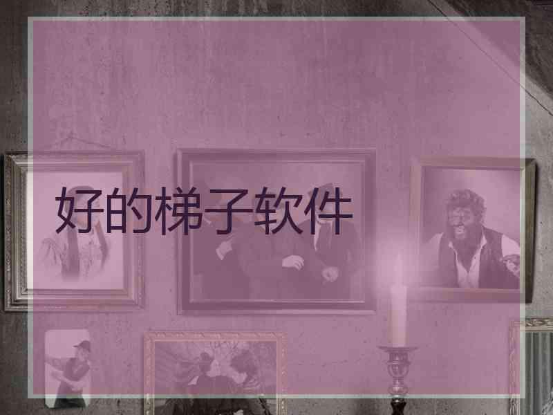 好的梯子软件