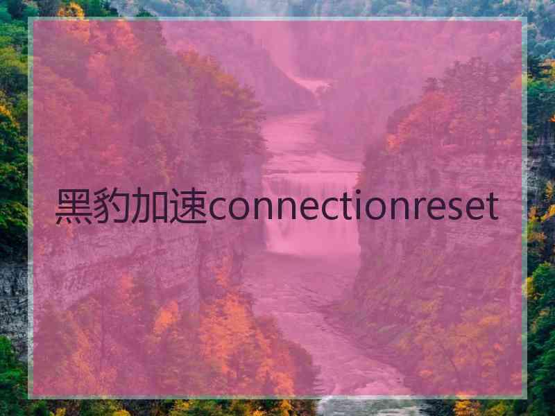 黑豹加速connectionreset