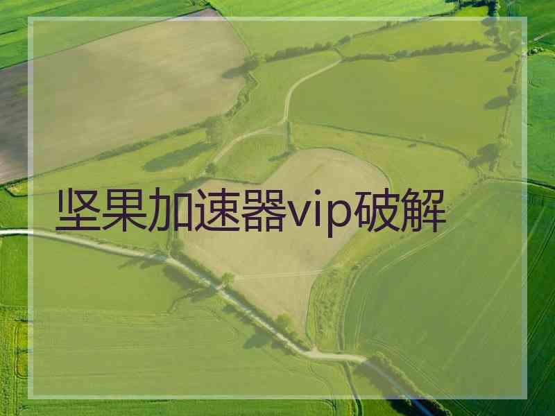 坚果加速器vip破解