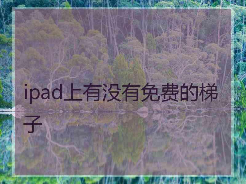 ipad上有没有免费的梯子