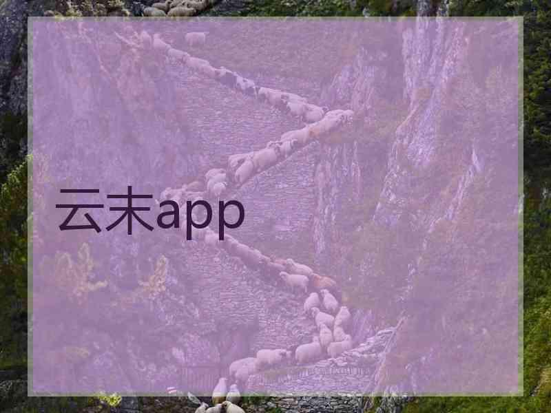 云末app