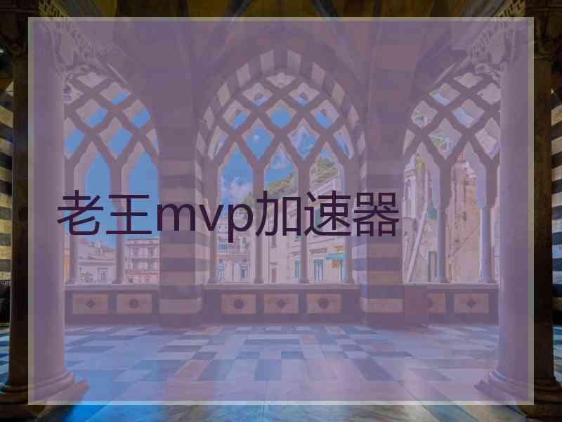 老王mvp加速器