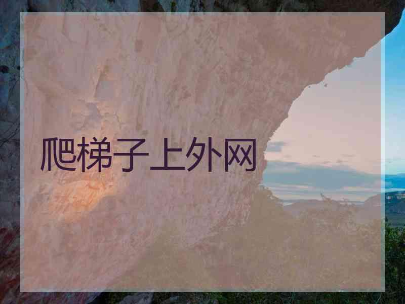 爬梯子上外网