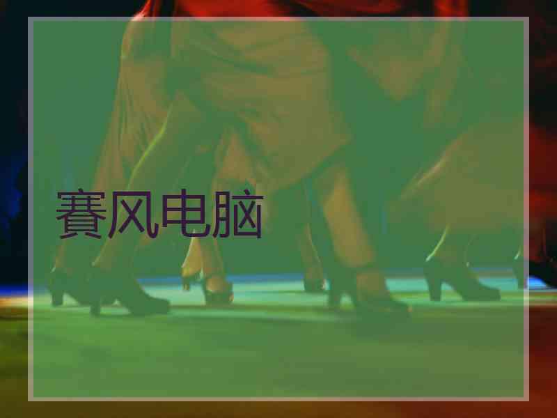 賽风电脑
