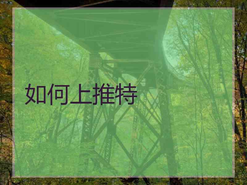 如何上推特
