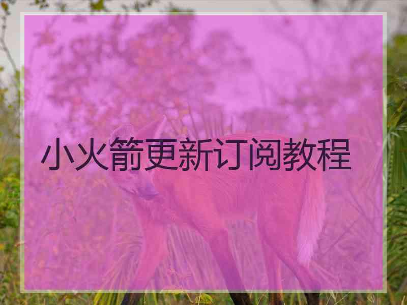 小火箭更新订阅教程
