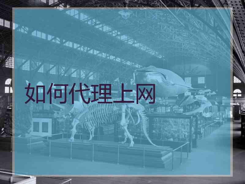 如何代理上网