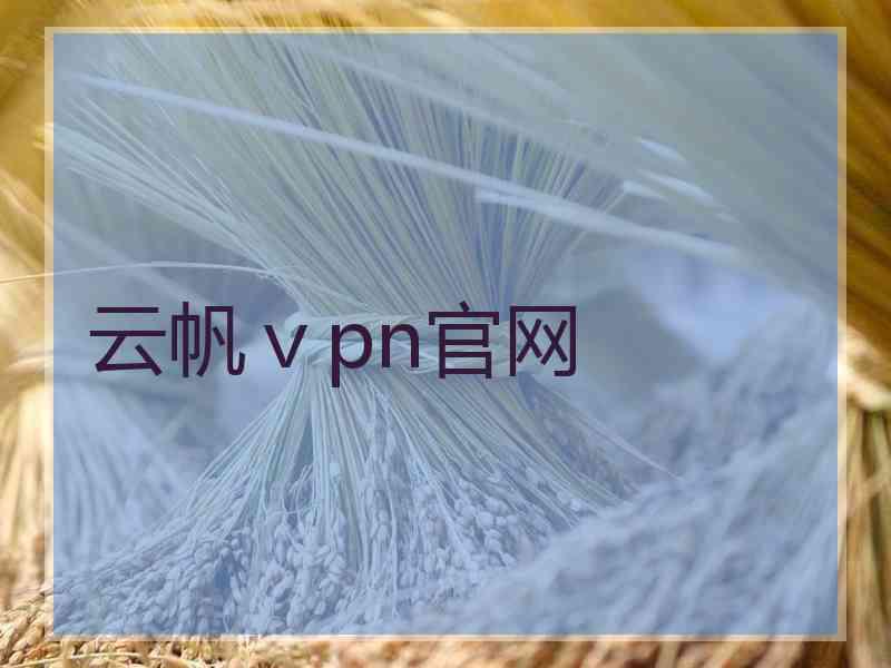 云帆ⅴpn官网