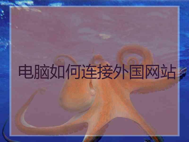 电脑如何连接外国网站