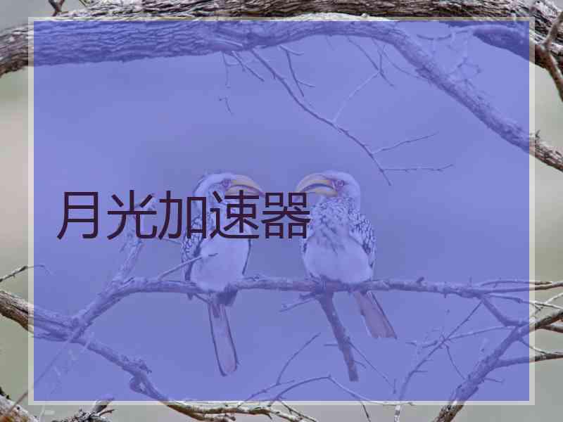 月光加速器