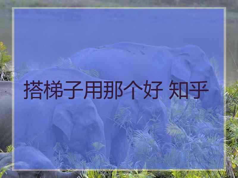搭梯子用那个好 知乎