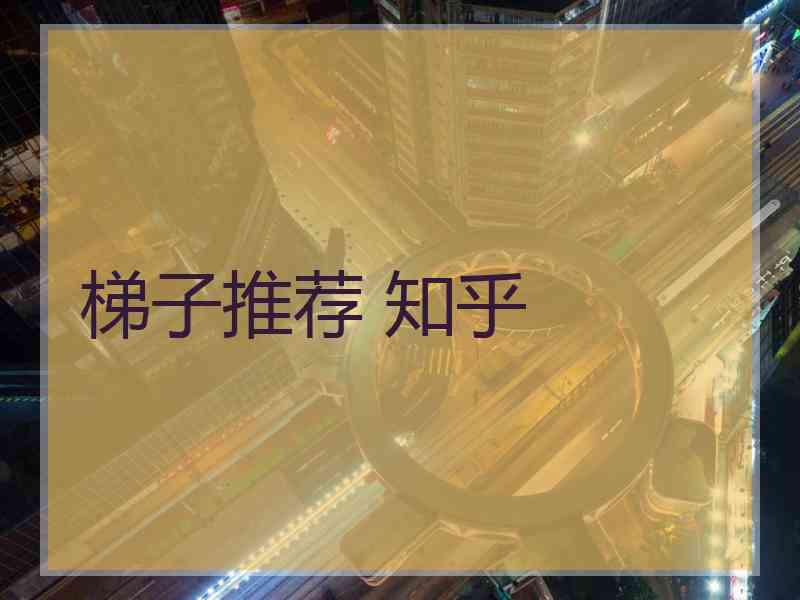 梯子推荐 知乎