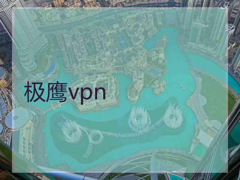 极鹰vpn