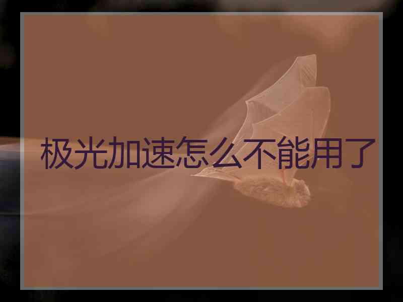 极光加速怎么不能用了