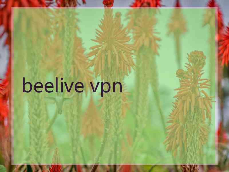 beelive vpn