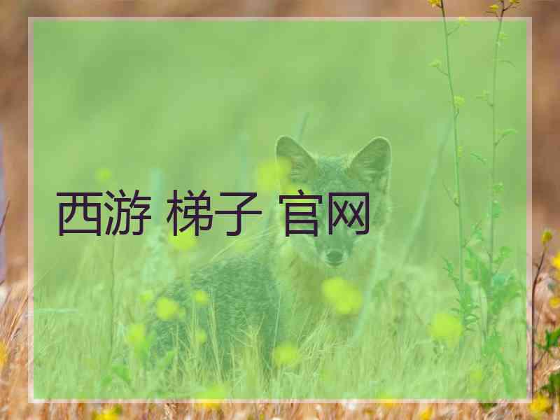 西游 梯子 官网
