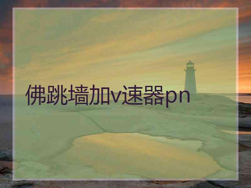 佛跳墙加v速器pn
