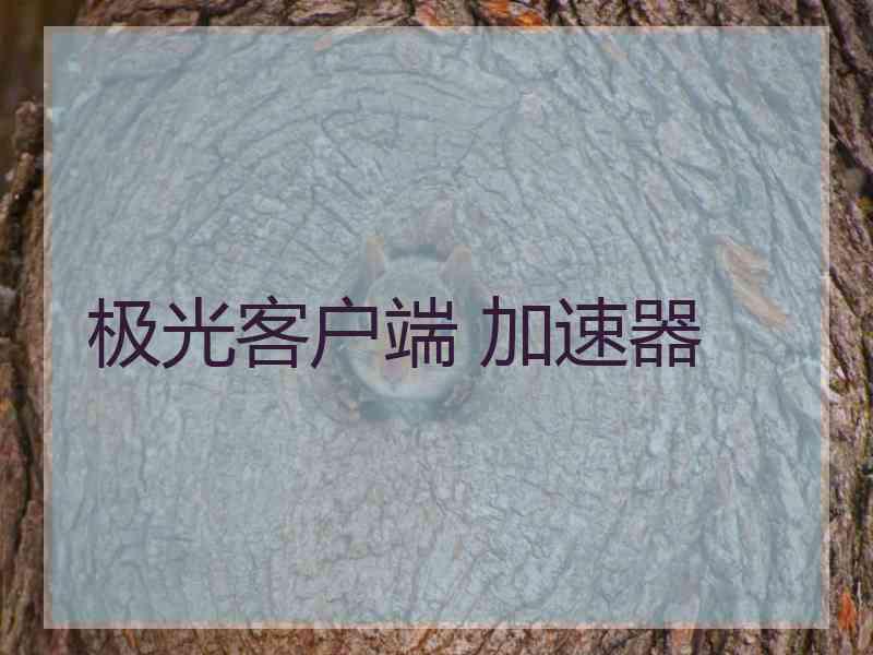 极光客户端 加速器