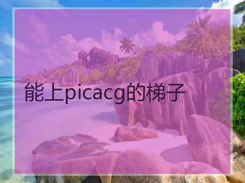 能上picacg的梯子