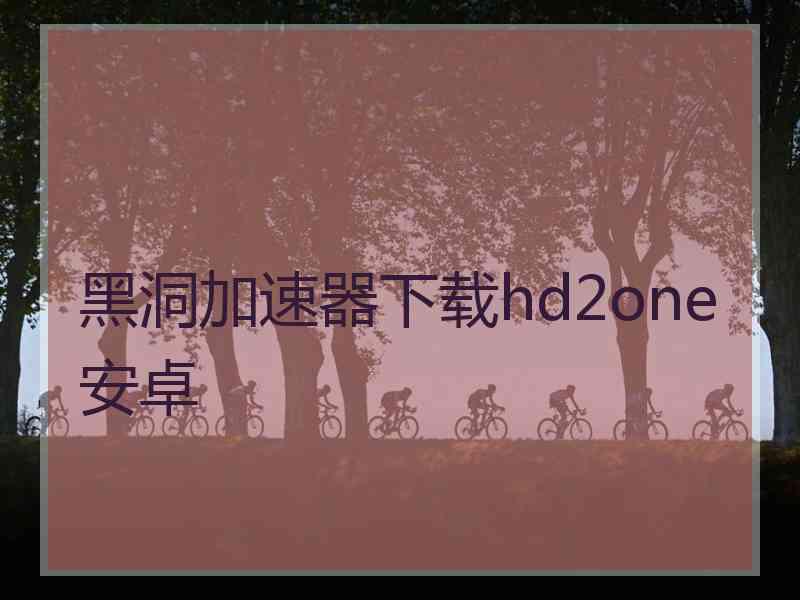 黑洞加速器下载hd2one安卓
