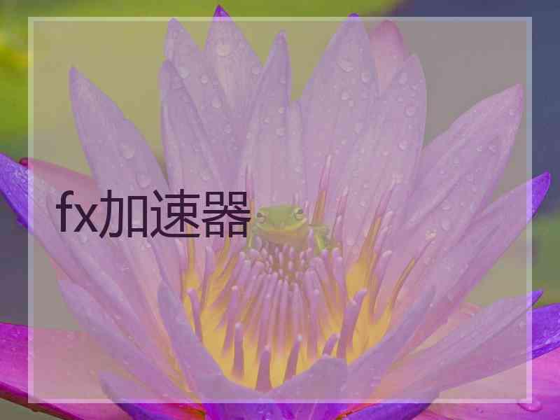 fx加速器