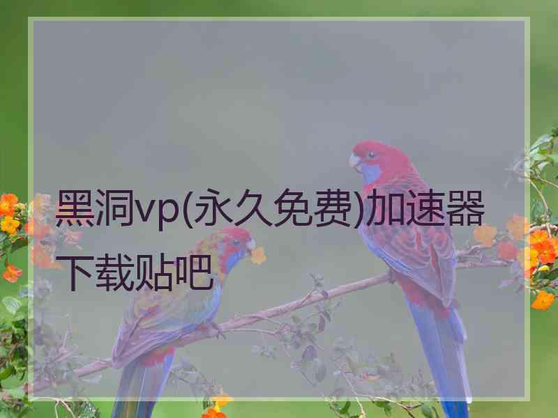 黑洞vp(永久免费)加速器下载贴吧