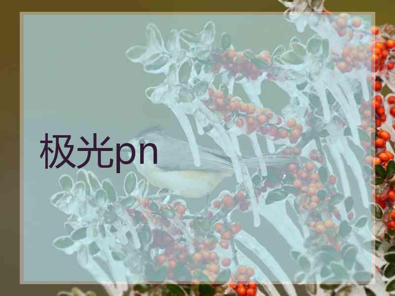 极光pn