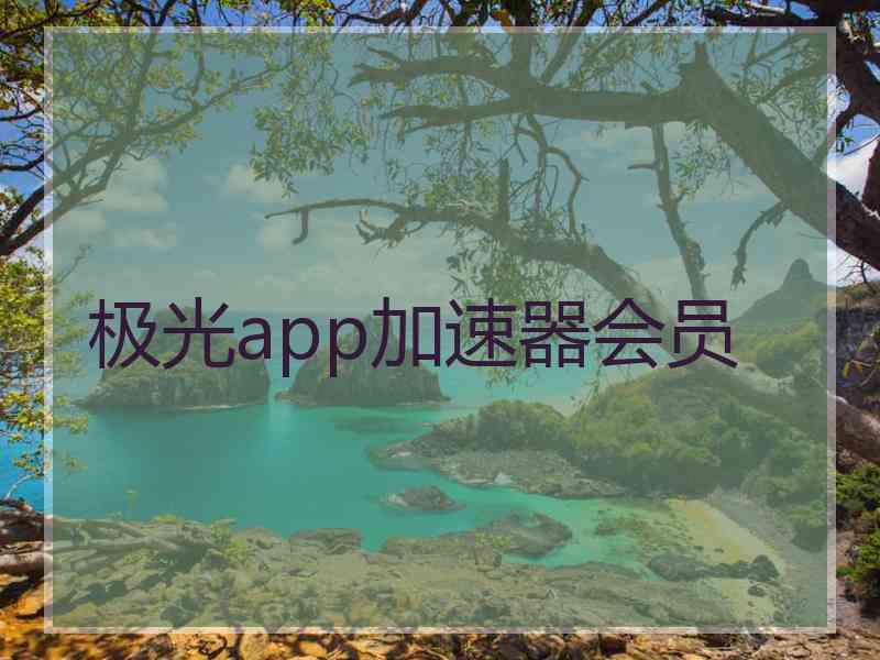极光app加速器会员