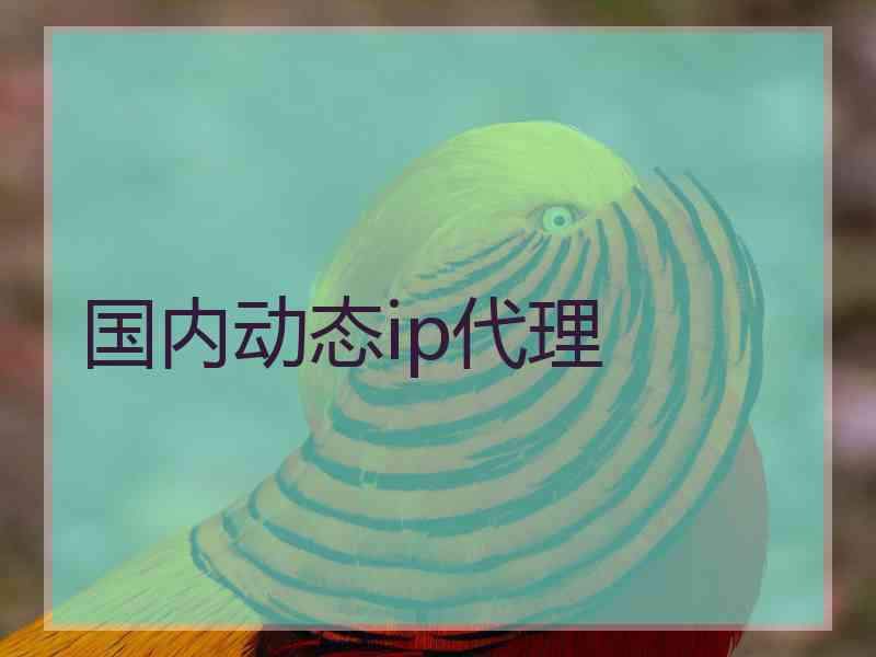 国内动态ip代理