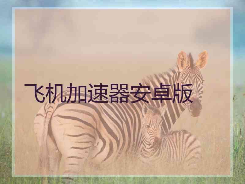 飞机加速器安卓版