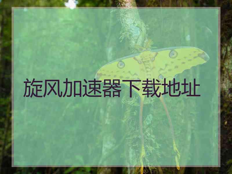 旋风加速器下载地址