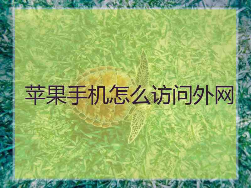 苹果手机怎么访问外网